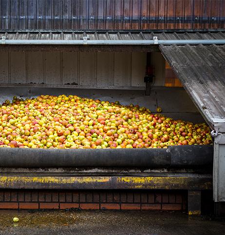 Hawkes, Urban Orchard Cider NV